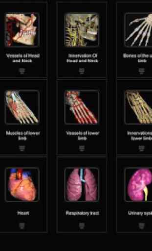 Anatomy Learning - 3D Atlas 1
