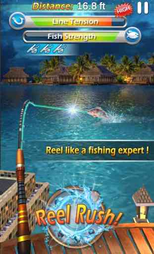 Fishing Mania 3D 3