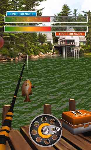 Real Fishing Ace Pro 1