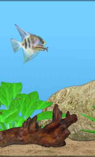 Aquarium Fish 2