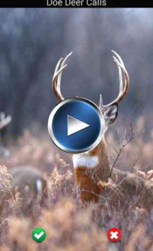 Deer Hunting Calls 2