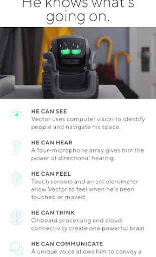 Vector Robot 4