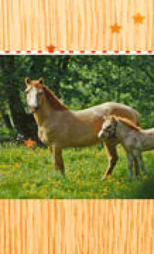 Amazing Animal Horse Puzzle With Ponies and Filly For Kids and Rid-ing Lovers! Free Learn-ing Game-s 1