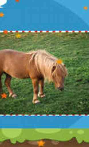 Animal Puzzle For Pony and Horse Lovers – Free Interactive Kids-Game To Learn Logical Thinking with Fun 2