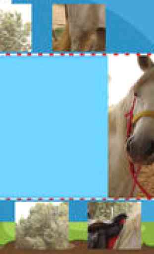 Animal Puzzle For Pony and Horse Lovers – Free Interactive Kids-Game To Learn Logical Thinking with Fun 3
