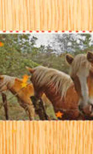 Animated Haflinger Horse-s Wood Puzzle With Beautiful Ponies - Gratis Educational Kids Game Fun For the Whole Family. Girls and Boys Learn 1