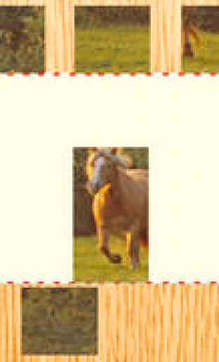 Animated Haflinger Horse-s Wood Puzzle With Beautiful Ponies - Gratis Educational Kids Game Fun For the Whole Family. Girls and Boys Learn 4
