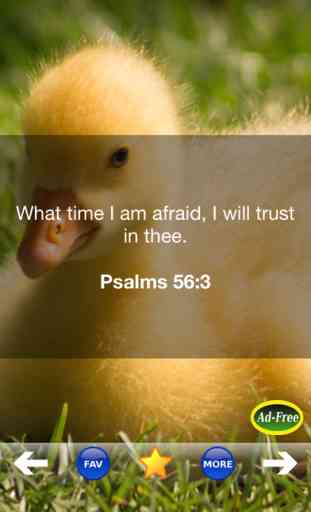 Bible Study for Kids FREE! Inspirational Verse of the Day App With Daily Devotionals & Inspirations! 3