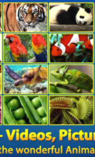 ABC SAFARI Animals & Plants - Video, Picture, Word, Puzzle for Kids 1