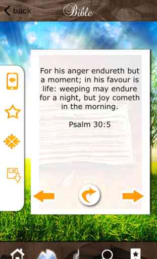 Bible App for Everyday Life - Quotes & Divine Features 2