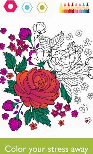 Colorfy: Coloring Book for Adults - Free 1