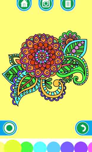 Coloring Books for adults - Mandala , ornament , anti-stress , art therapy 1