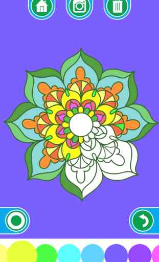 Coloring Books for adults - Mandala , ornament , anti-stress , art therapy 2