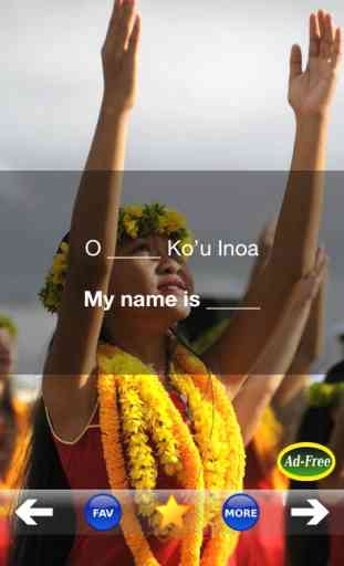 Hawaiian Words & Phrases! Hawaii Dictionary and Casual Language Translation Guide 1