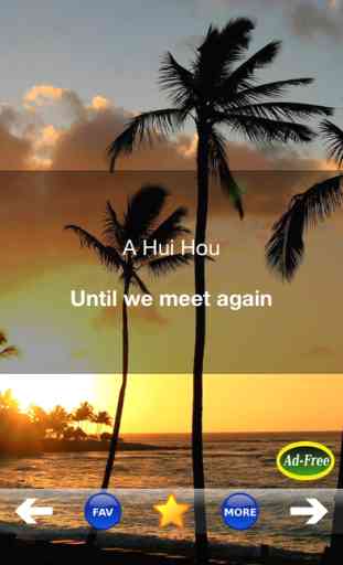Hawaiian Words & Phrases! Hawaii Dictionary and Casual Language Translation Guide 3