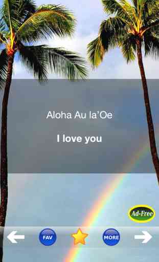 Hawaiian Words & Phrases! Hawaii Dictionary and Casual Language Translation Guide 4