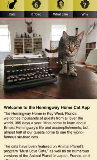 Hemingway Cats 1