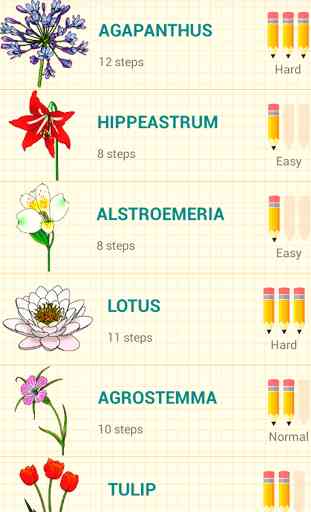 How to Draw Flowers 2