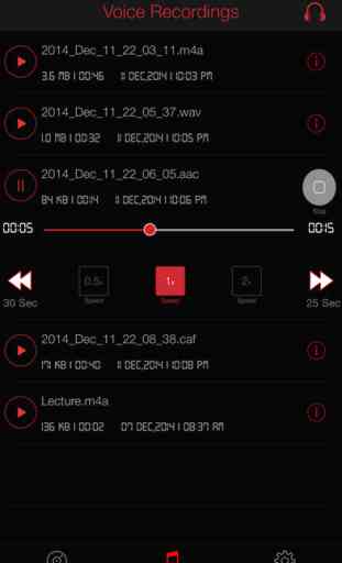 HD Recorder : (WAV,M4A,AAC,MP4,CAF) Audio And Voice Recording With Playback, Trimming And Sharing 2