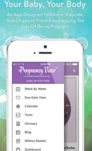 Pregnancy View 1