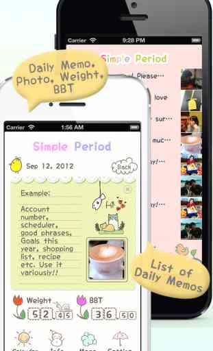 Simple Period (Period Calendar) 3