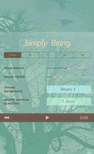 Simply Being - Guided Meditation for Relaxation and Presence 3