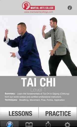 Tai Chi Qi Gong Lessons 1 - M.A.C. Martial Arts College 2