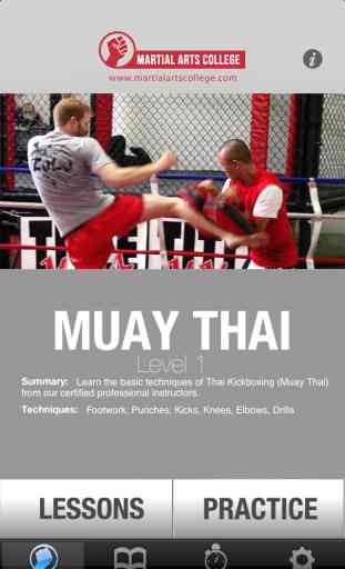 Thai Kickboxing Lessons for Beginners - Muay Thai 3