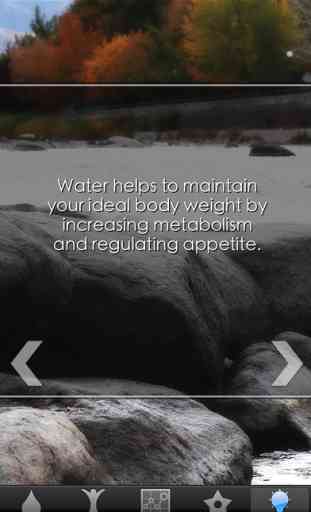 Water Your Body 3