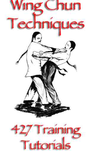 Wing Chun Techniques 1