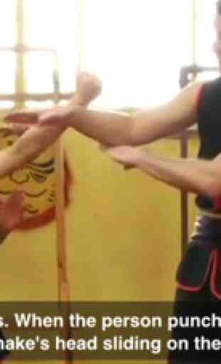 Wing Chun Techniques 3