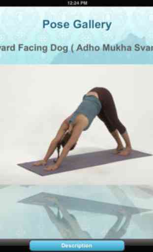 Yoga Weight Loss Lite 4