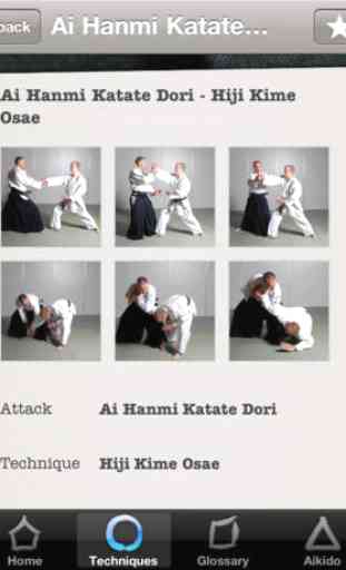 Aikido Techniques 4