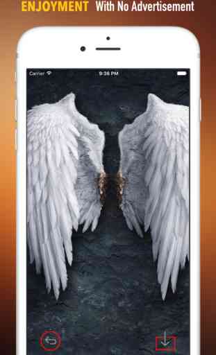 Angel Wings Wallpapers HD: Art Pictures 2
