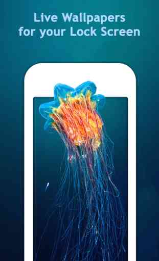 Aquarium Live HD Wallpapers for iphone 6s & 6s Plus 1