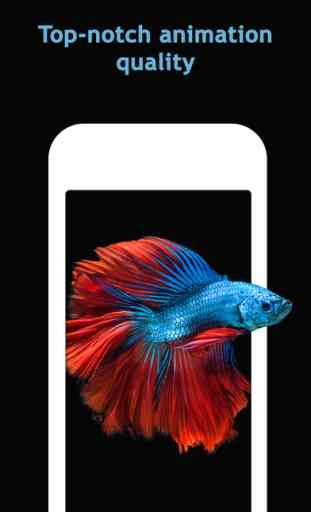 Aquarium Live HD Wallpapers for iphone 6s & 6s Plus 2