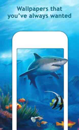 Aquarium Live HD Wallpapers for iphone 6s & 6s Plus 4