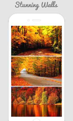 Autumn Wallpapers - Beautiful Collections Of Autumn Wallpapers 1