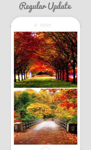 Autumn Wallpapers - Beautiful Collections Of Autumn Wallpapers 3