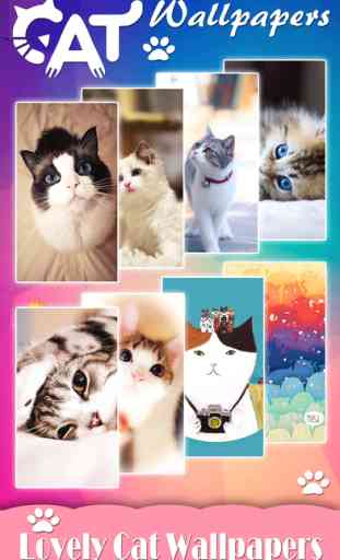 Cat Wallpapers & Backgrounds HD - Home Screen Maker with Themes of Pretty Kittens 1