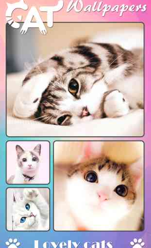 Cat Wallpapers & Backgrounds HD - Home Screen Maker with Themes of Pretty Kittens 2
