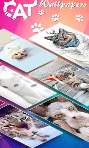 Cat Wallpapers & Backgrounds HD - Home Screen Maker with Themes of Pretty Kittens 3