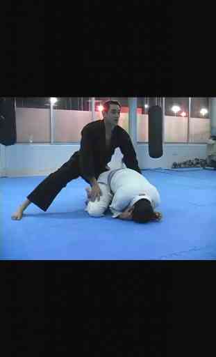 Brazilian Jiu Jitsu: Purple Belt Requirements 3