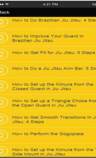 Brazilian Jiu Jitsu techniques - Learn The Basic Moves 4