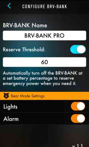 BRV-BANK PRO: Remote Battery Monitor 3