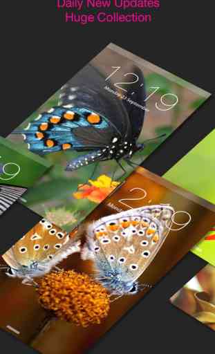Butterfly Backgrounds Lock & Home Screens Themes 2