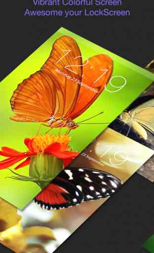 Butterfly Backgrounds Lock & Home Screens Themes 3