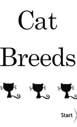 Cat Breeds 1