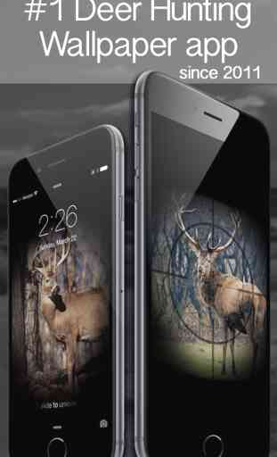 Deer Hunting Wallpaper! Backgrounds, Lockscreens, Shelves 1