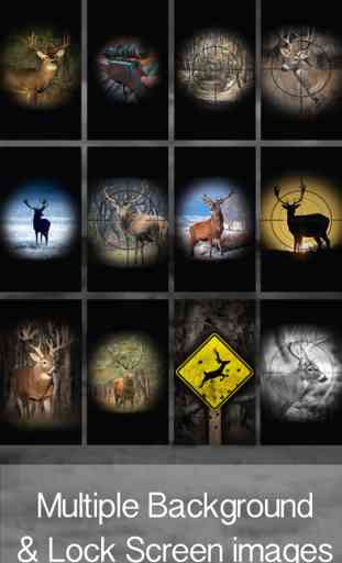 Deer Hunting Wallpaper! Backgrounds, Lockscreens, Shelves 3
